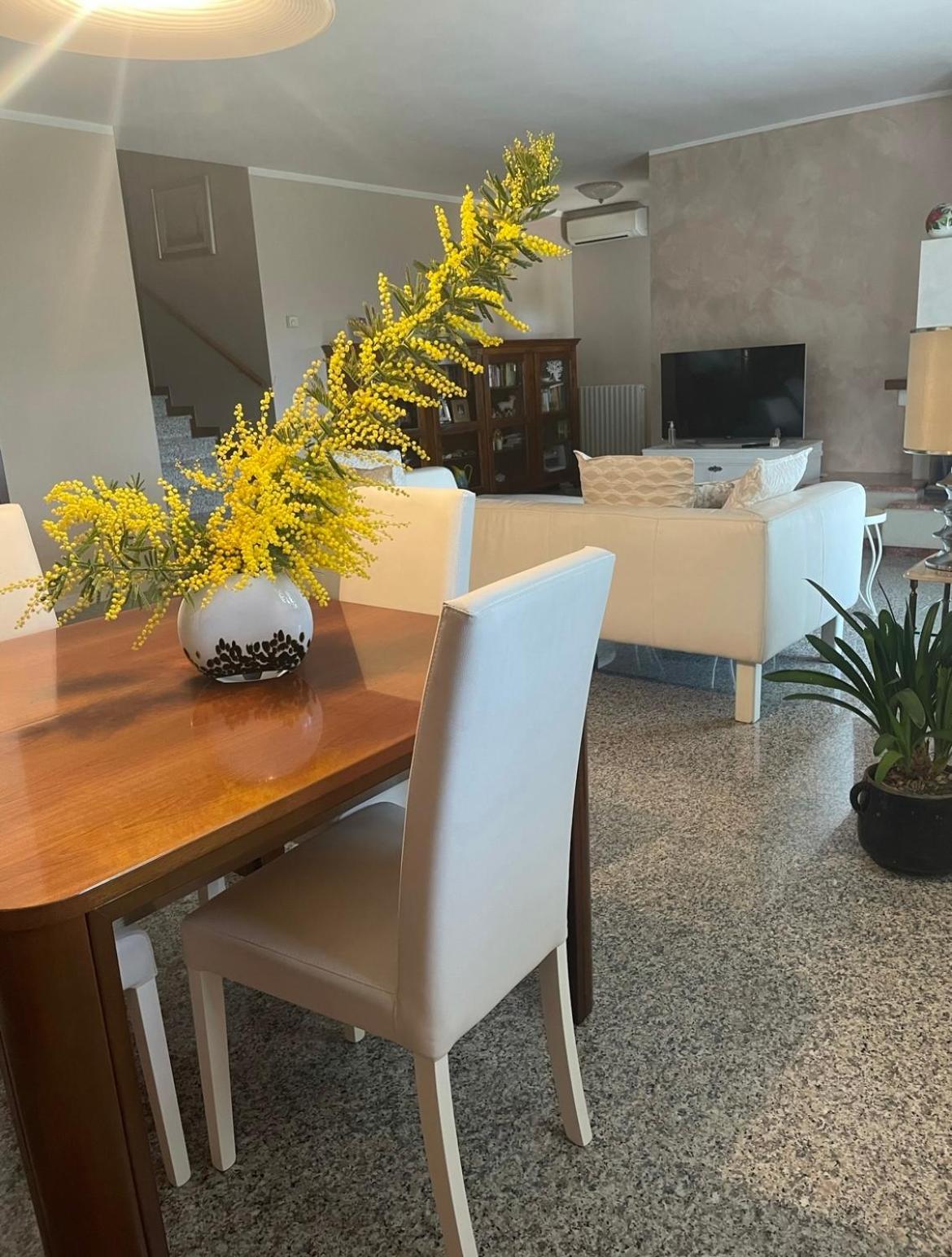 B&B Amy&Julie Badia Polesine Εξωτερικό φωτογραφία